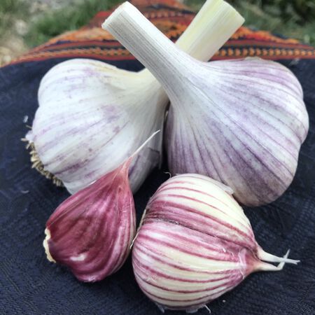 Korean Red, Garlic Bulbs image number null